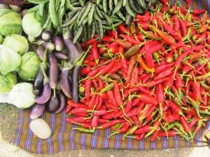 Chiles and seasonal vegetables