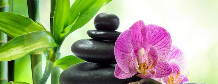 Mind-body-spirit